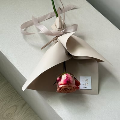 單支卡布玫瑰花束5