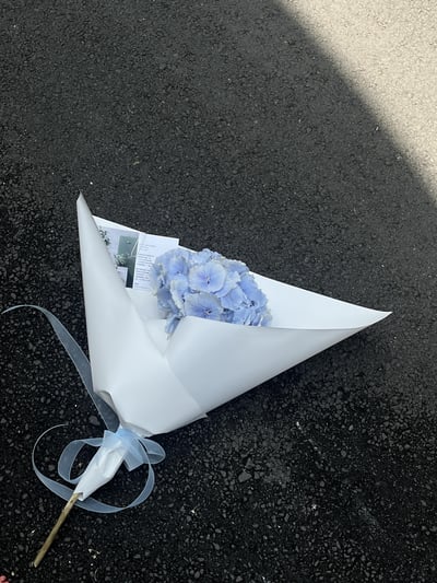 單支藍色繡球花2