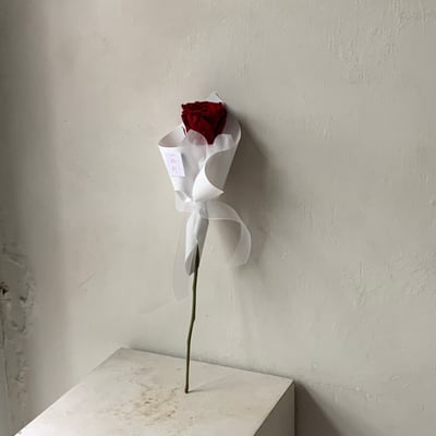 單支永生紅玫瑰花束4