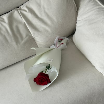 Red String - Red Rose3