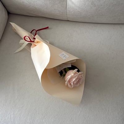 Red String - Nude Rose6