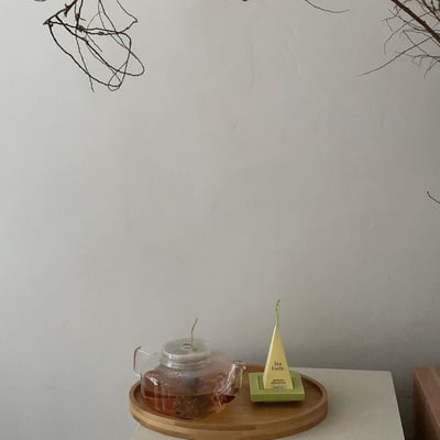 Tea Forte’ 10入金字塔型絲質茶包5