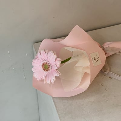 單支粉色非洲菊花束4