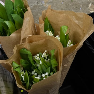 花市導覽＋畢德邁爾圓桌花基礎課程8