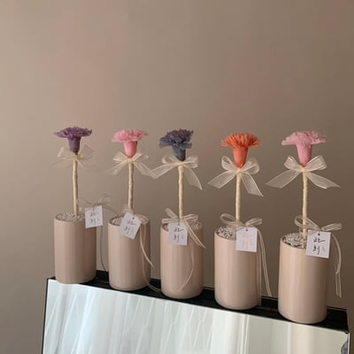 單支永生康乃馨盆花 - 淺粉2