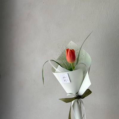 Orange Single Tulip2