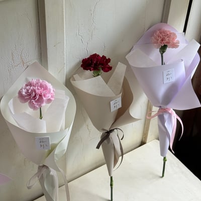 單支康乃馨花束2