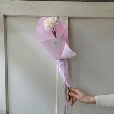 單支康乃馨花束9