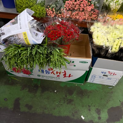 花市導覽＋畢德邁爾圓桌花基礎課程12