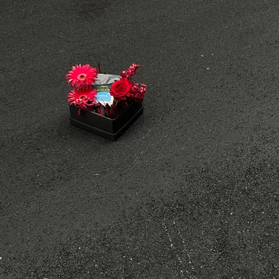 此刻 x ILIFA 非洲醇香咖啡豆花禮1