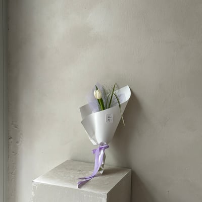 單支白色鬱金香花束8