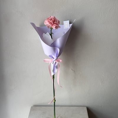 單支康乃馨花束- 淺粉3