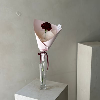 單支康乃馨花束- 紅2