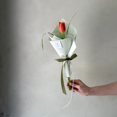 Orange Single Tulip1