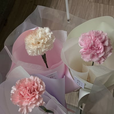 單支康乃馨花束5