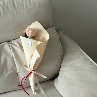 Red String - Nude Rose2