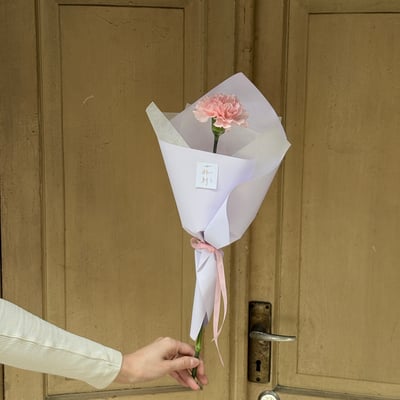 單支康乃馨花束7