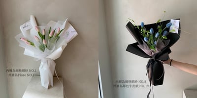 細格網紗2