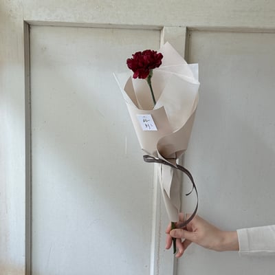 單支康乃馨花束8