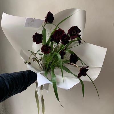 巧克力波斯菊花束2