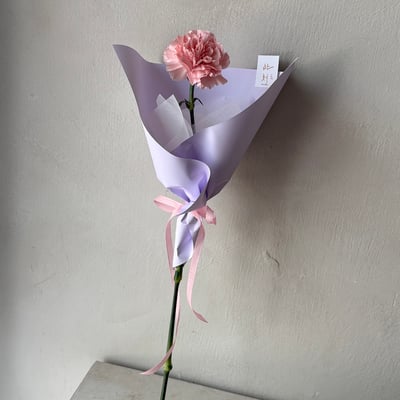 單支康乃馨花束- 淺粉5