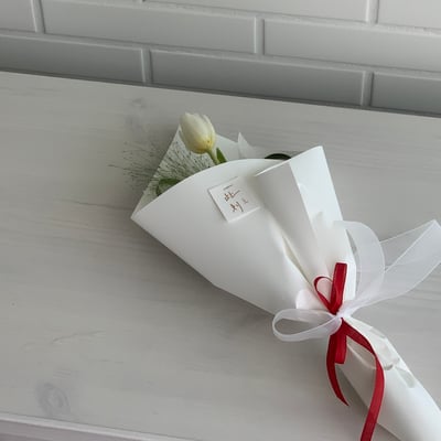 Red String - White Tulip4