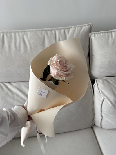 Red String - Nude Rose8