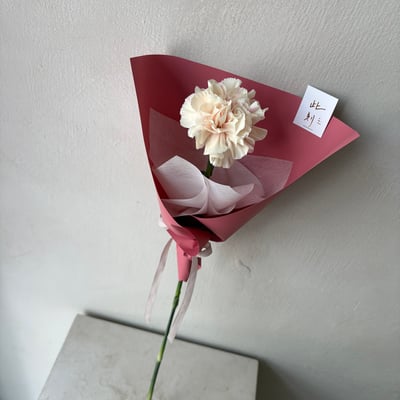單支康乃馨花束- 深杏1