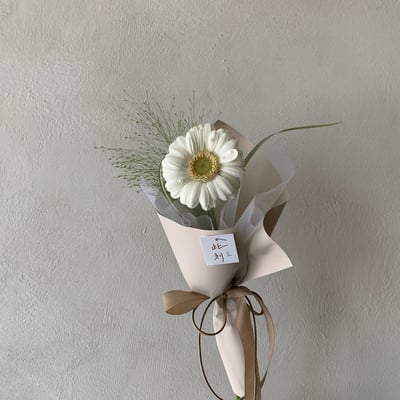單支珍珠非洲菊花束2