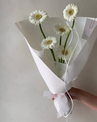 5 支白色非洲菊花束3