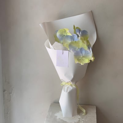 染色蘭花花束3