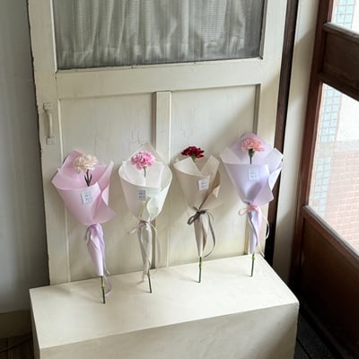 單支康乃馨花束1