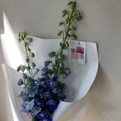 3 支藍色飛燕花束1