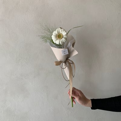 單支珍珠非洲菊花束1