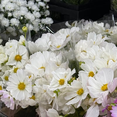 花市導覽＋畢德邁爾圓桌花基礎課程5