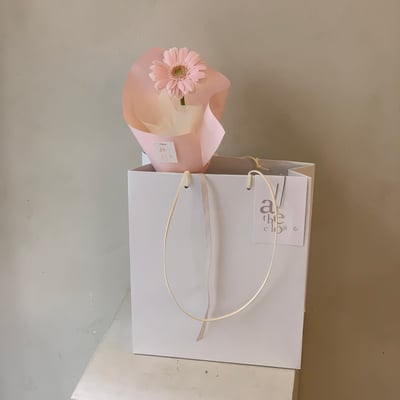 單支粉色非洲菊花束3