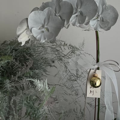 Christmas Orchid  - Silver2