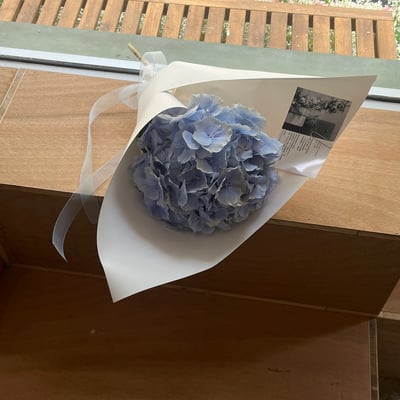 單支藍色繡球花3