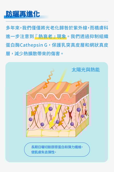 橋膚科-物理防曬乳4