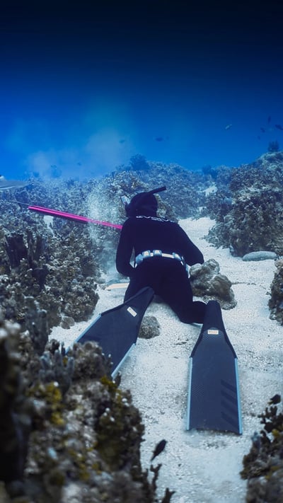 Alchemy S-30 碳纖維長蛙 專業自由潛水6