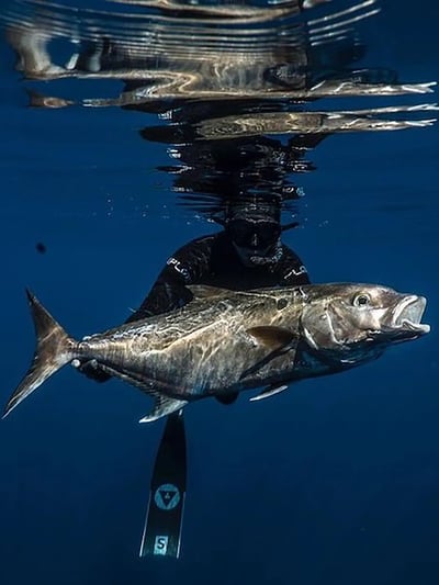 Alchemy S-30 碳纖維長蛙 專業自由潛水3