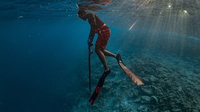 Alchemy S-30 碳纖維長蛙 專業自由潛水4