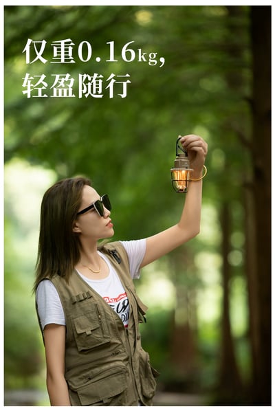 山之客 松果燈7