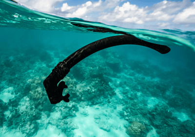 Alchemy 原廠 "正浮力呼吸管"3