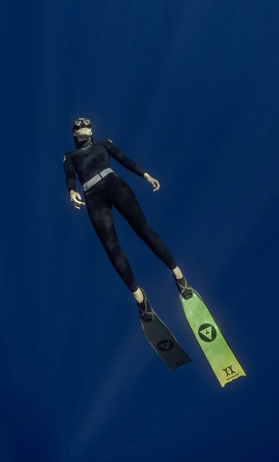 Alchemy V3 歐洛拉碳纖維長蛙 Aurora by Yamamoto 極光板20