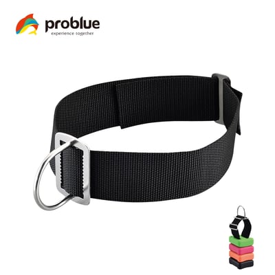 Problue 底鉛組裝帶1