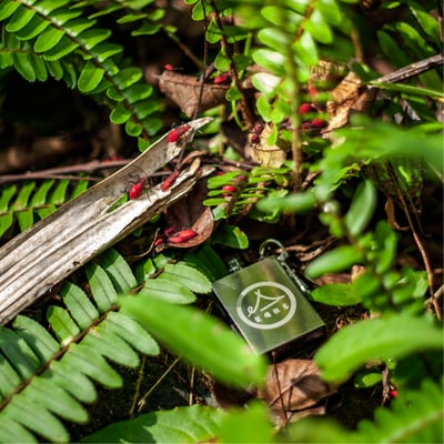 《緊急求生》防水打火石