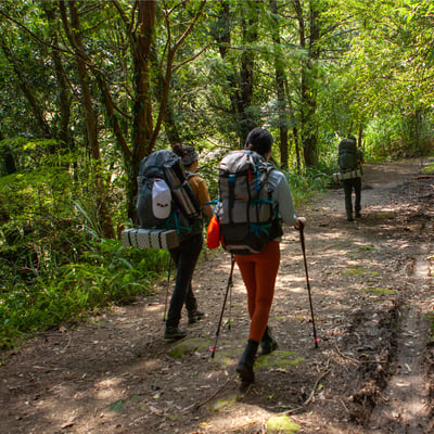 Naturehike 碳纖維登山杖3