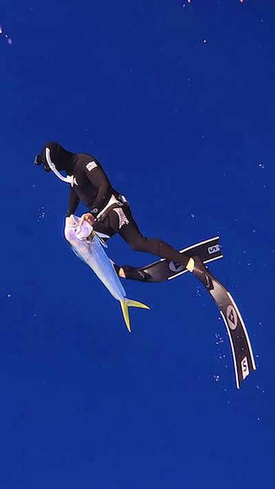 Alchemy S-30 碳纖維長蛙 專業自由潛水5