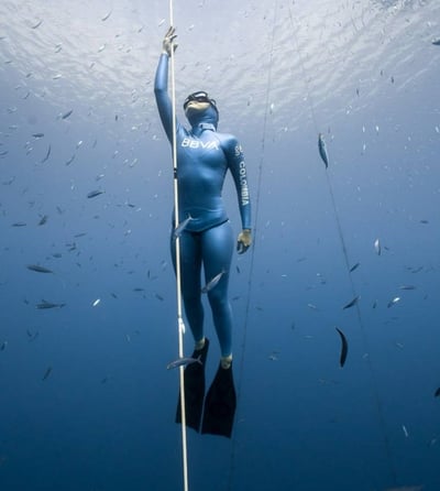 Alchemy  V3-30 Pro 頂級碳纖維短蛙 專業自由潛水3